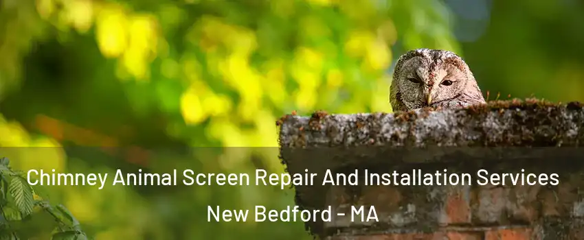  Chimney Animal Screen Repair And Installation Services New Bedford - MA