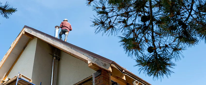 Birds Removal Contractors from Chimney in New Bedford, MA