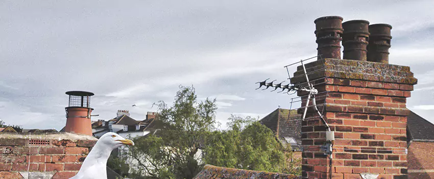 Chimney Cleaning And Restoration in New Bedford, Massachusetts