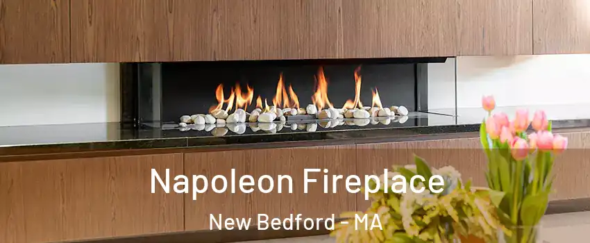  Napoleon Fireplace New Bedford - MA